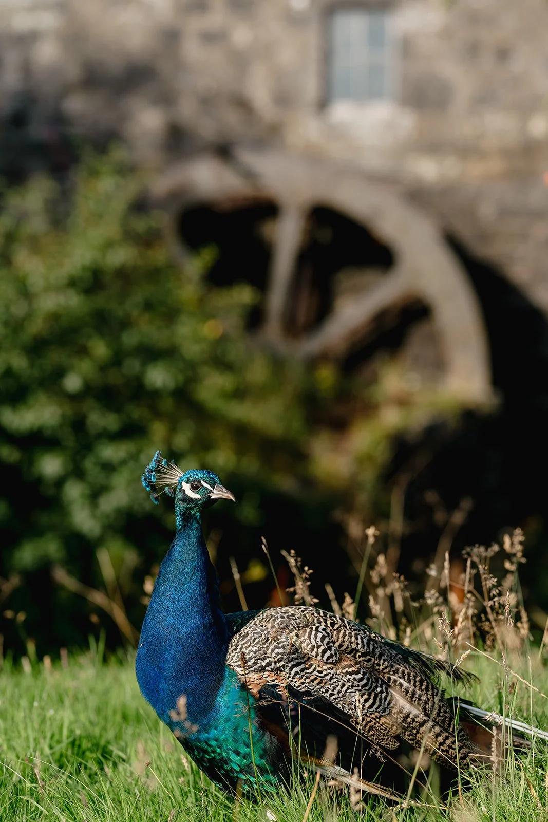 ©photosbyzoe0597.jpg