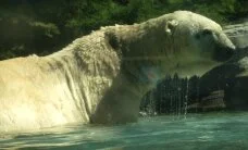 Vodafone Will Assess "Purpose" When Making Supplier Selection Decisions