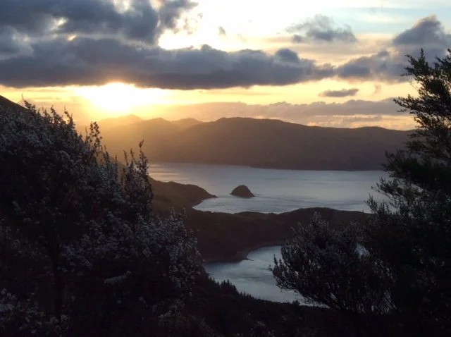 Addressing Scope 3 Emissions - Collect Better Data or JFDI? 