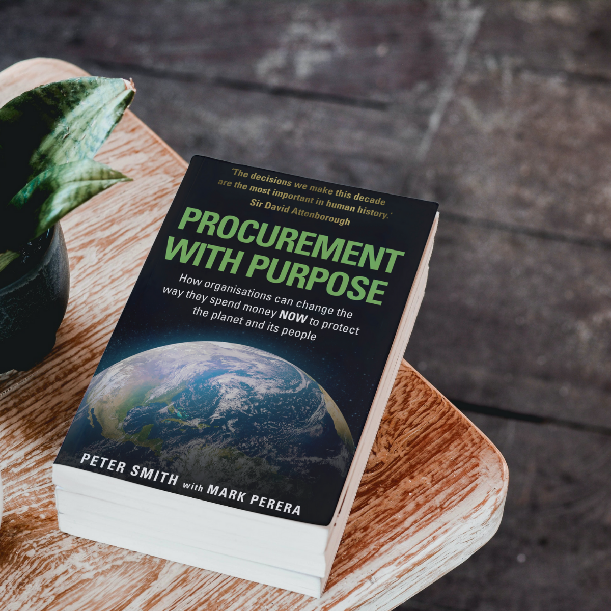 #procurementwithpurpose (1).png