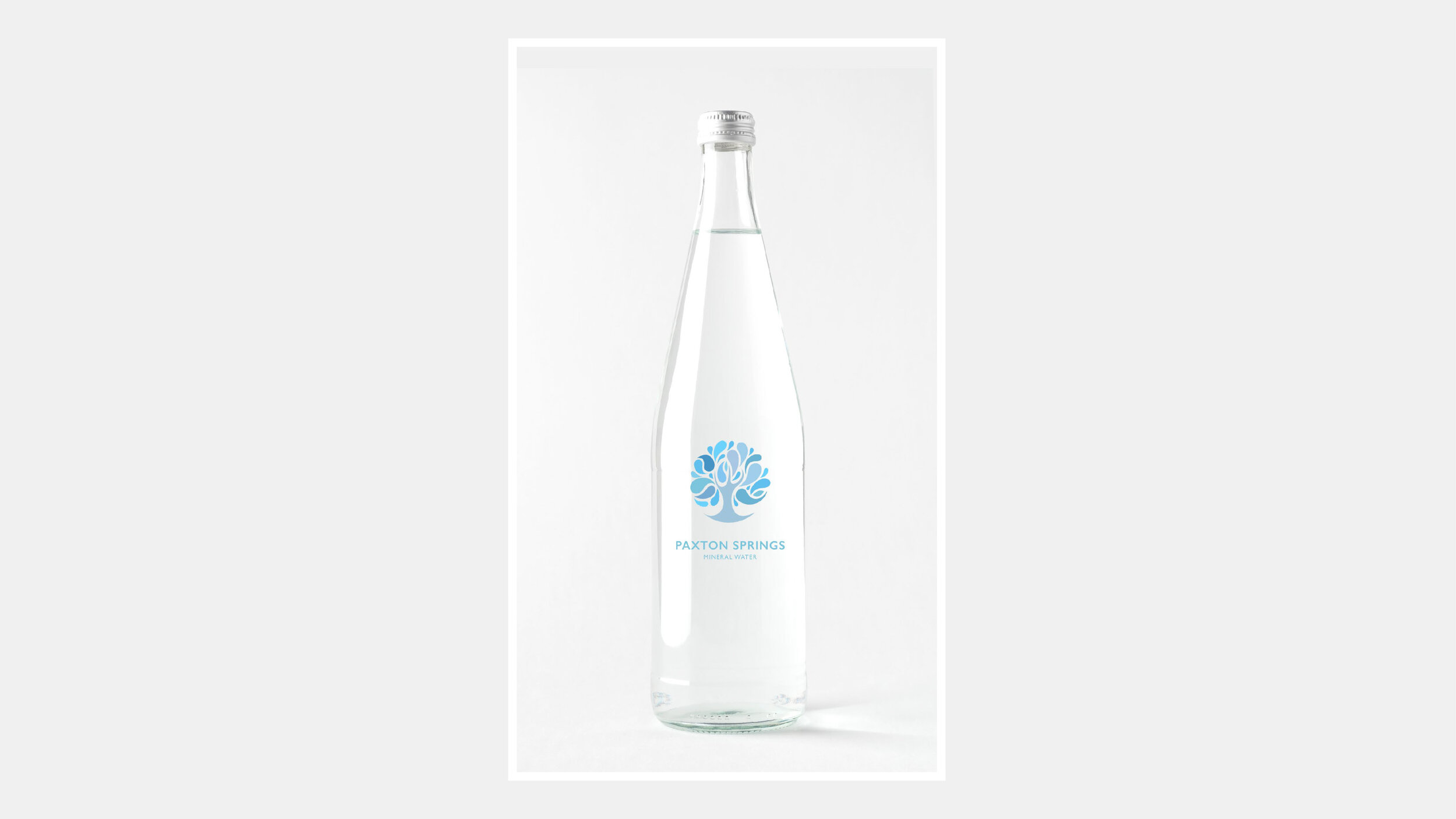 Paxton Springs Glass Bottle 16-9.jpg