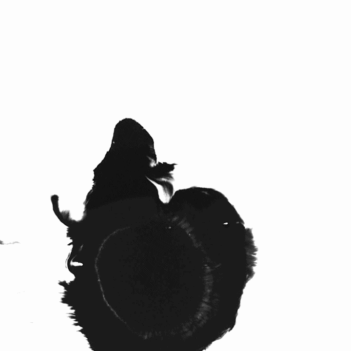 VID_96100417_110303_857-ezgif.com-video-to-gif-converter.gif (Kopie)