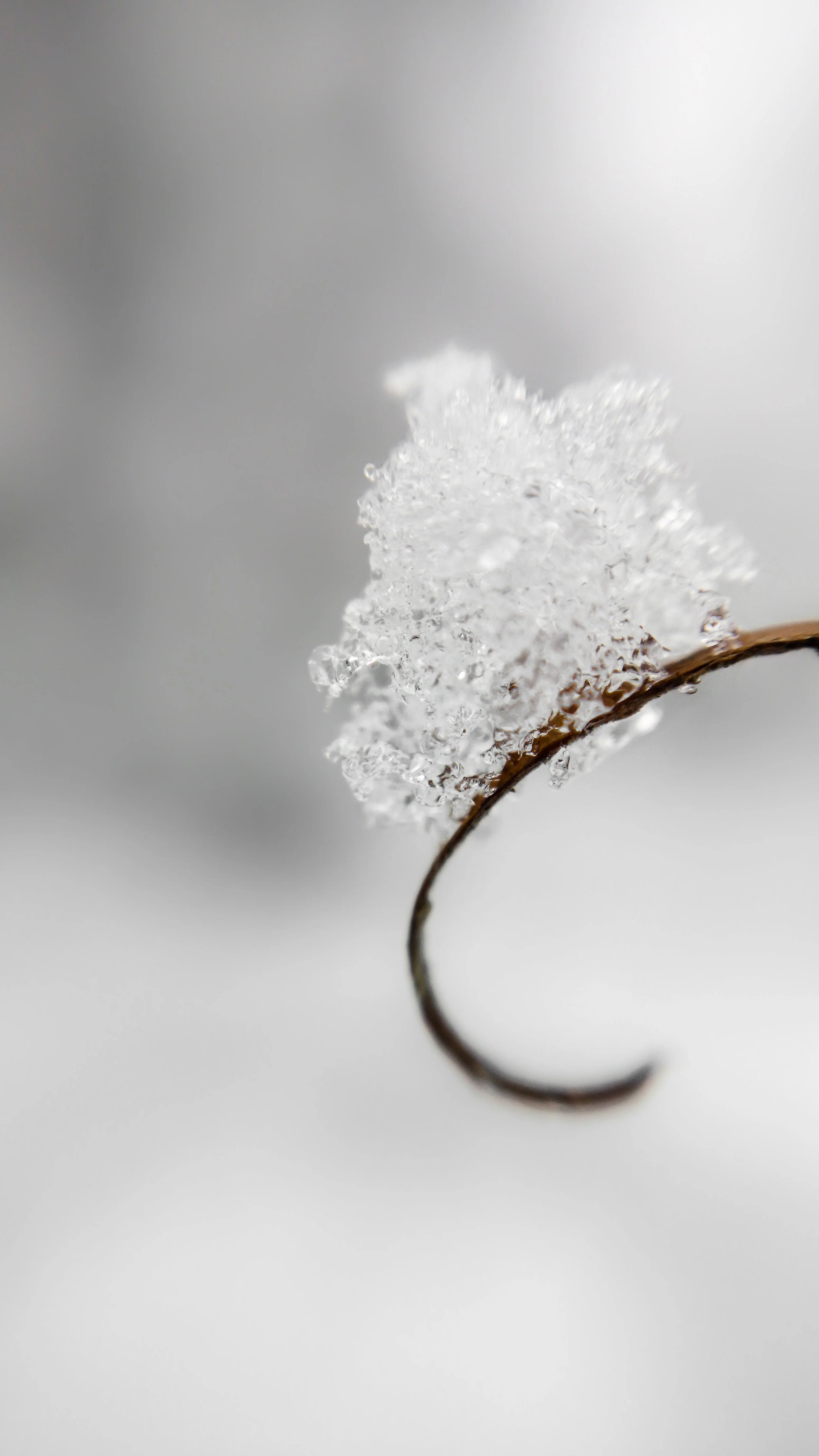 Healing Touch: Something that Cannot be Trained or Taught