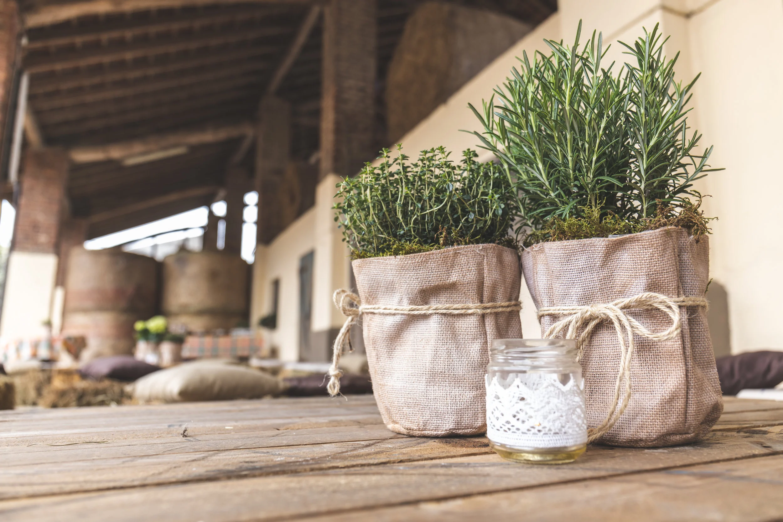 TCM Basics 101: Supermarket Herbs - Rosemary