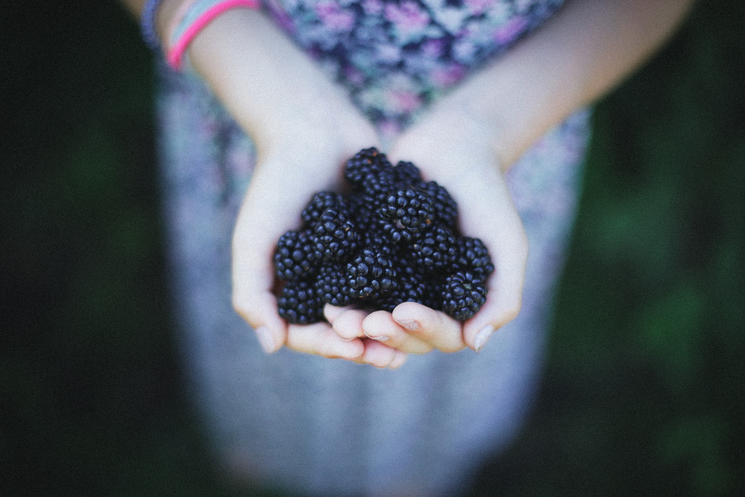 TCM Basics 101: Supermarket Herbs - Blackberry