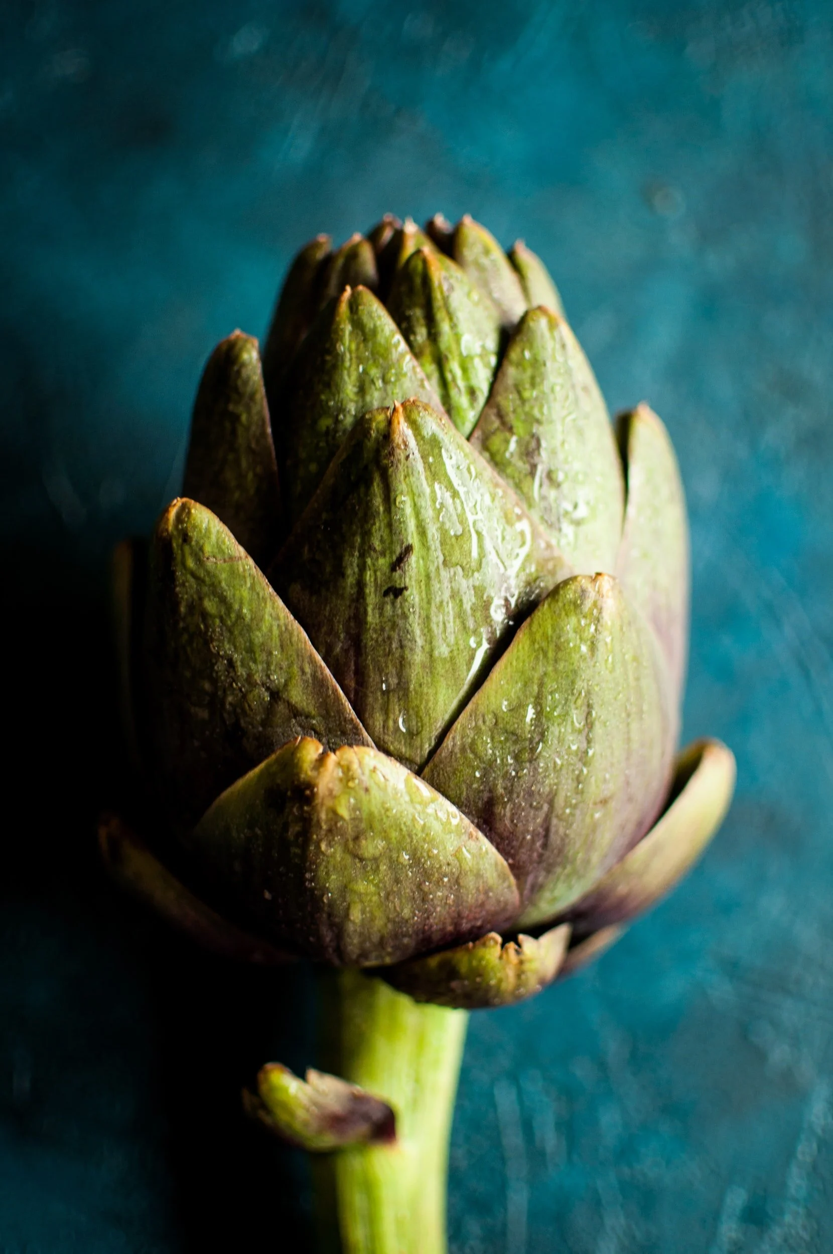 TCM Basics 101: Supermarket Herbs - Artichoke