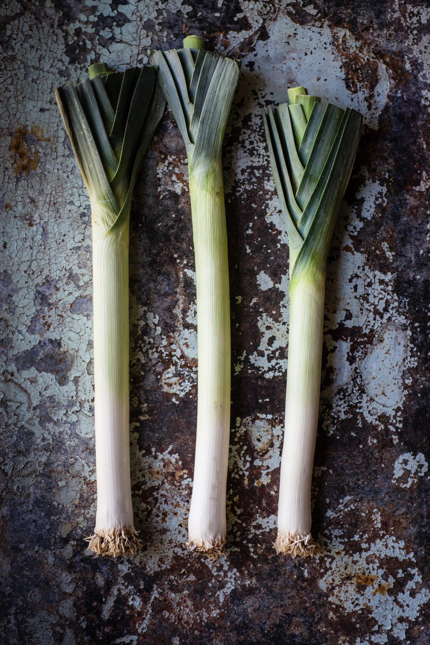 TCM Basics 101: Supermarket Herbs - Leek