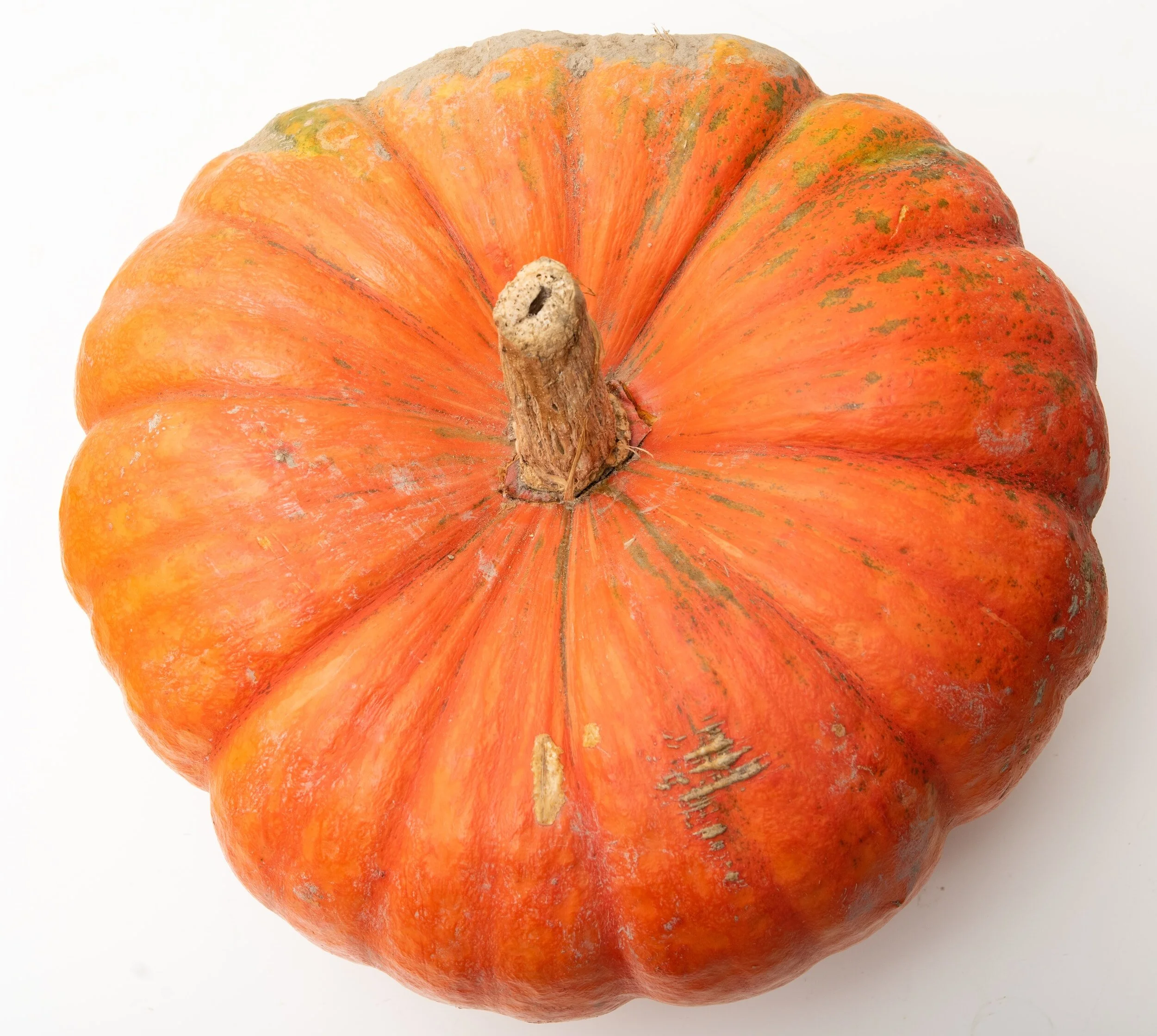 TCM Basics 101: Supermarket Herbs - Pumpkin