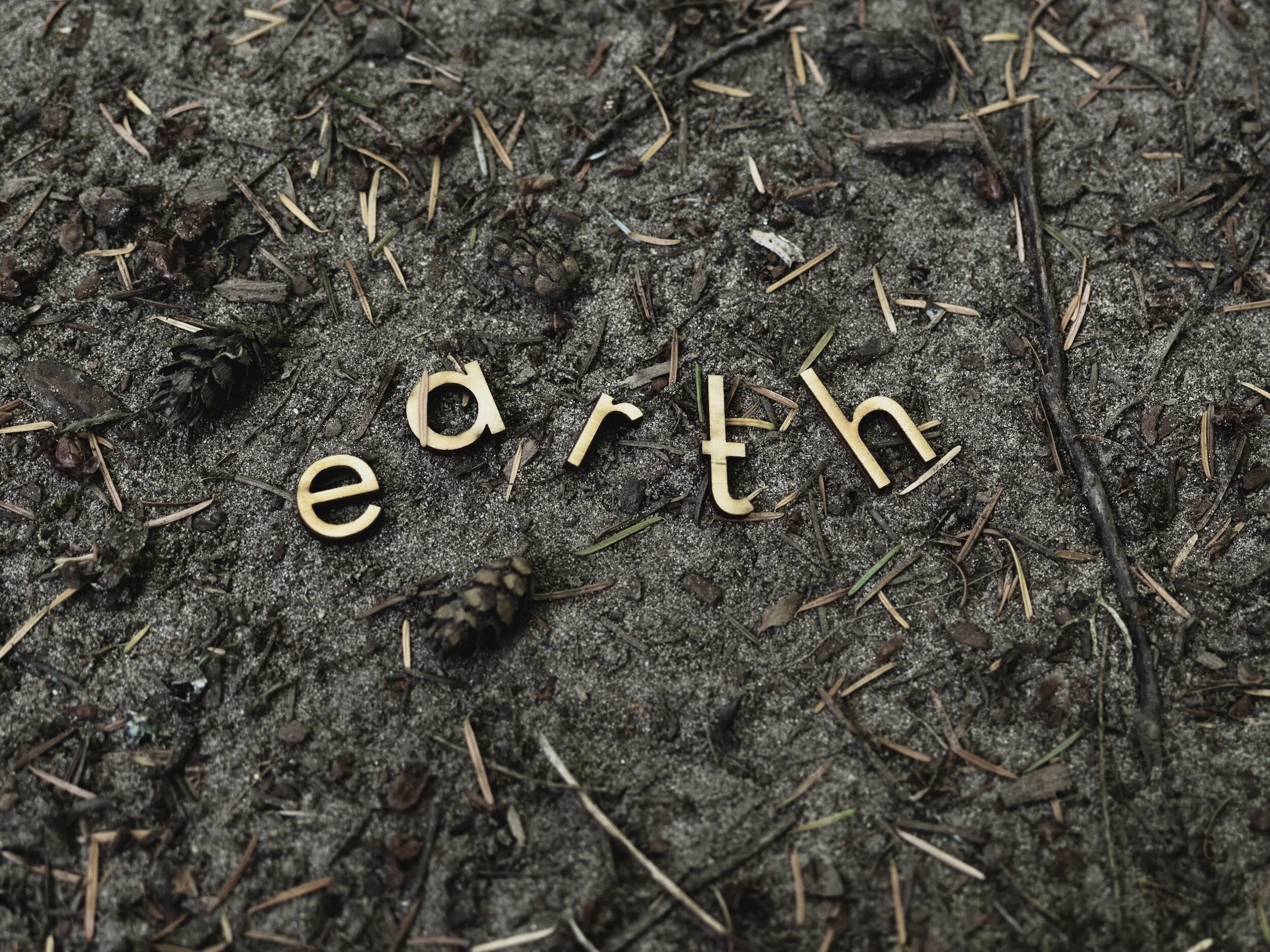 Bazi Fengshui Series: Ji Earth Element Daymaster 