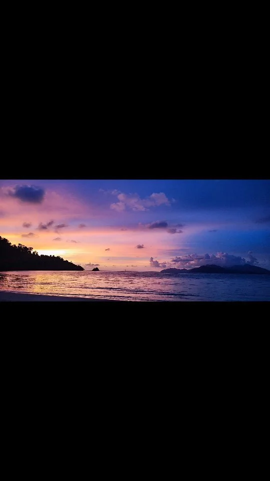 What is Dampness Heat — Dr Xiang Jun Experienced multidisciplinary TCM Physician with Doctorate