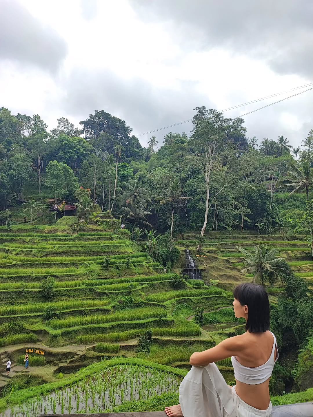 Dr Xiang Jun Serves the World Bali November 2025 
International Private TCM Consults &amp; Treatments
Day 4

Kids, this is where rice comes from.
✨❤️🍚

drxiangjun.com

-------------------------------

By appointment and invite.
For consults, service