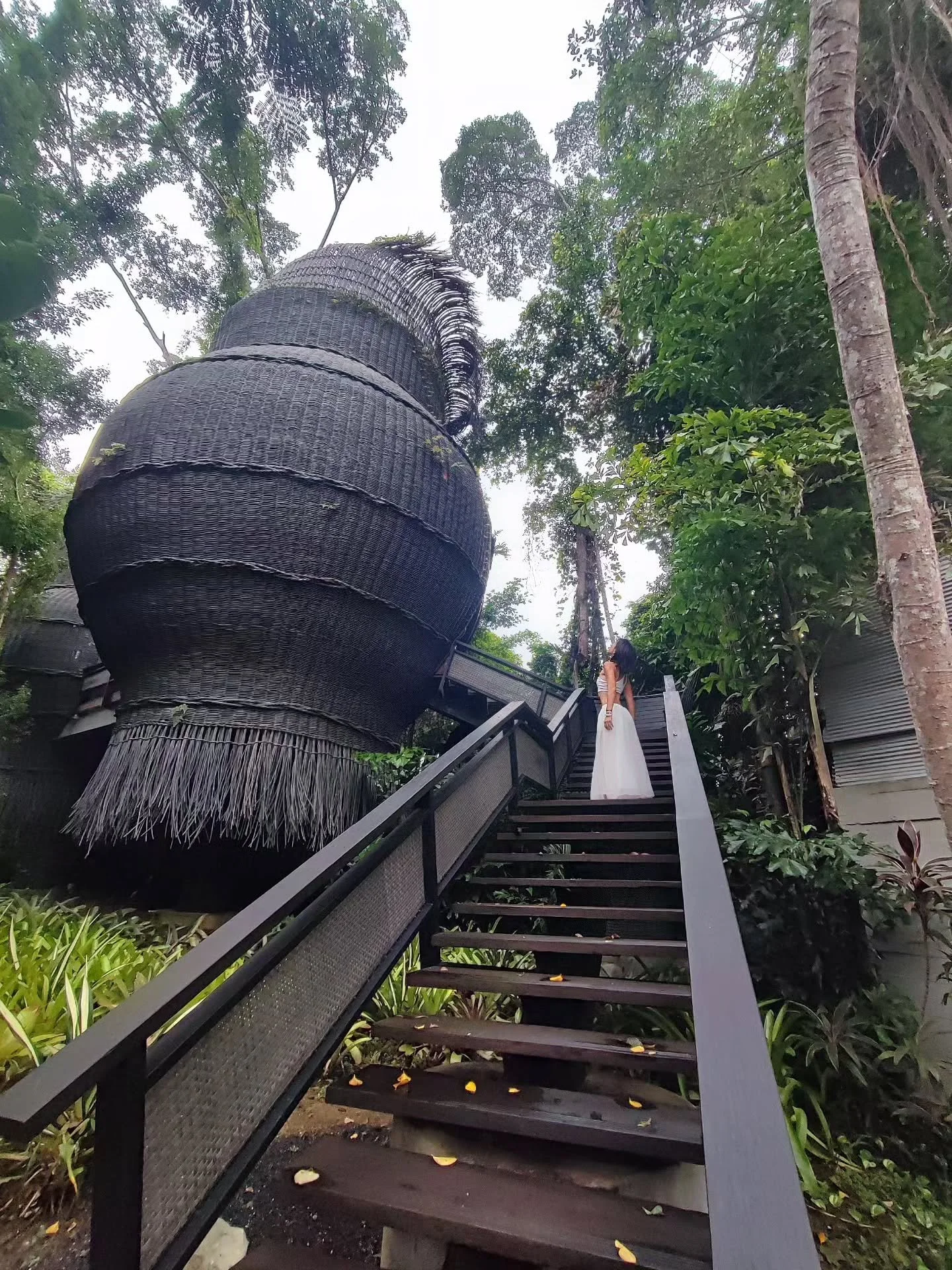 Dr Xiang Jun Serves the World Phuket November 2025 
International Overseas TCM Consults &amp; Treatments
Day 5

How are you my lovely Nest? 
I love coqooning here.
❤️

drxiangjun.com

-------------------------------

By appointment and invite.
For co