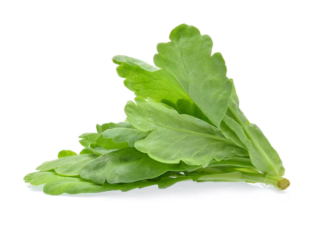 TCM Basics 101: Supermarket Herbs - Tang Oh