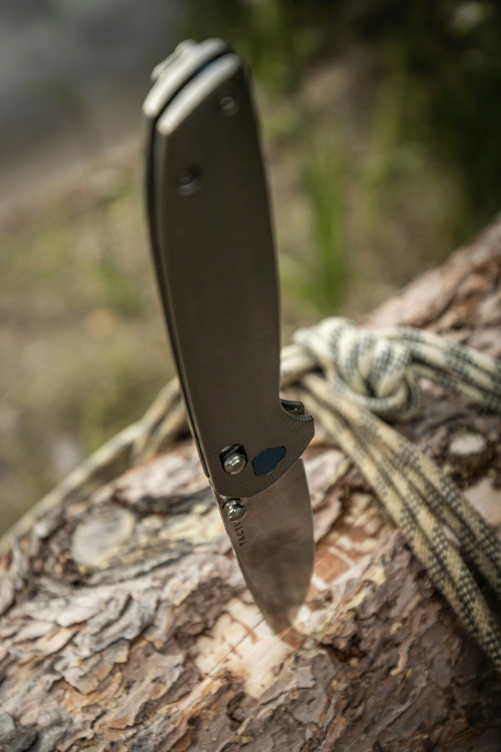 Bazi Fengshui Series: Goat Blade Star