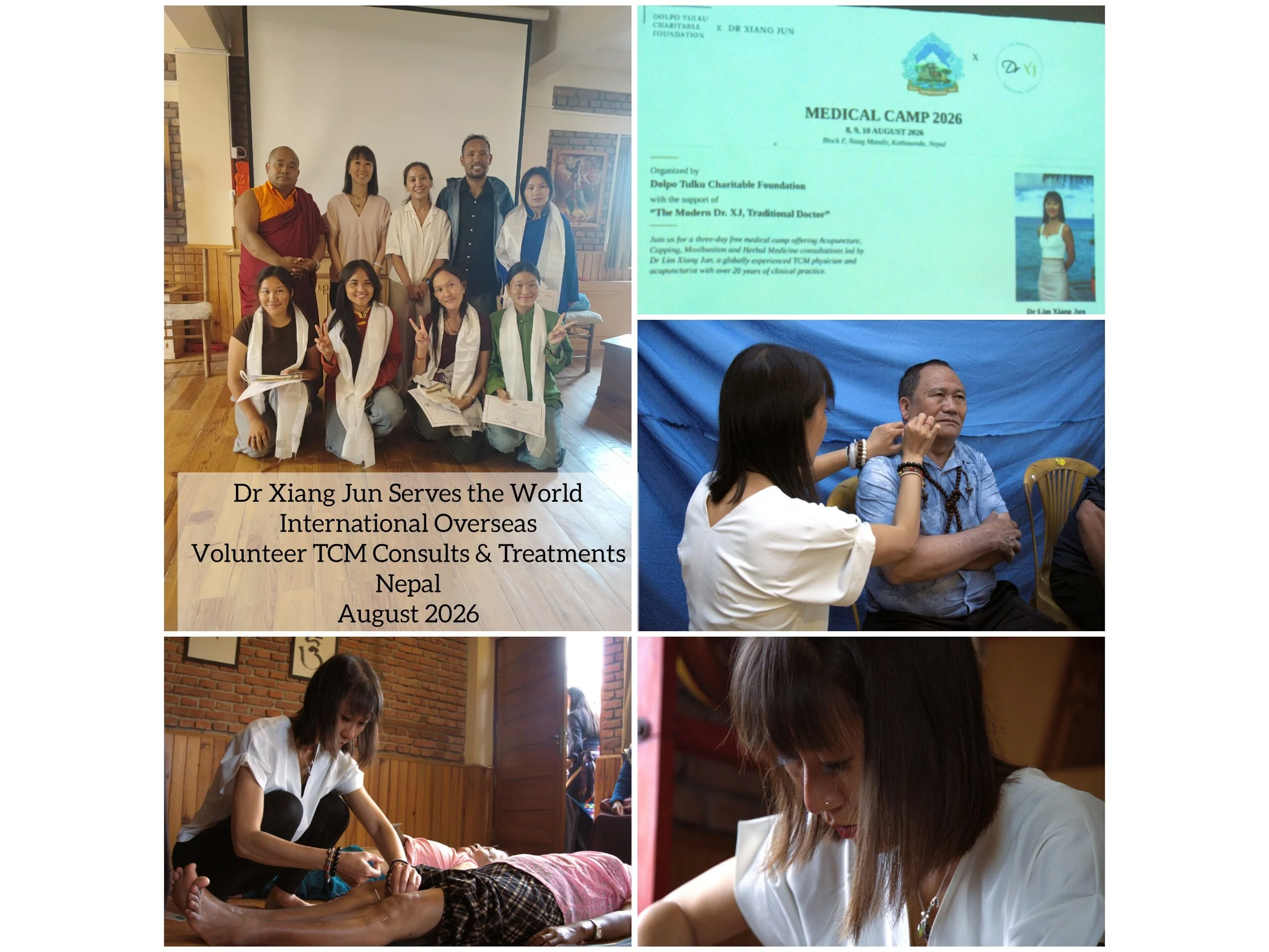 Overseas International Volunteer TCM &amp; Acupuncture Service at Nepal August 2026 