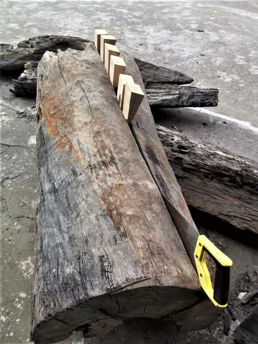 Dejawu Guitars - 7500-year-old maple trunks