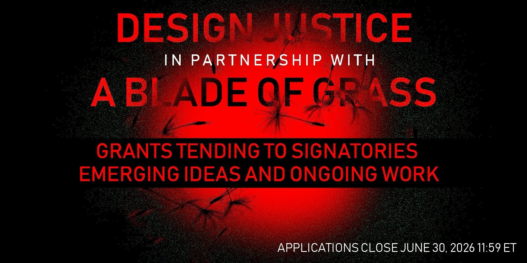 DJN Field Fund is Open for Applications (w/A Blade of Grass)
