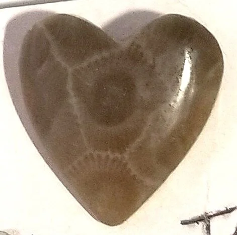 heart+tt.jpg