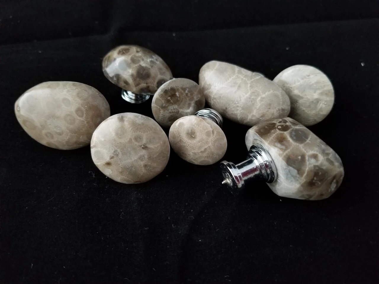Petoskey stone marks 60th anniversary as Michigan’s state stone