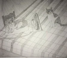 562_Aoife-Tattan_FA30E72D-C1CB-49DC-A1C8-BBCC1AAEDA4A (1).jpeg