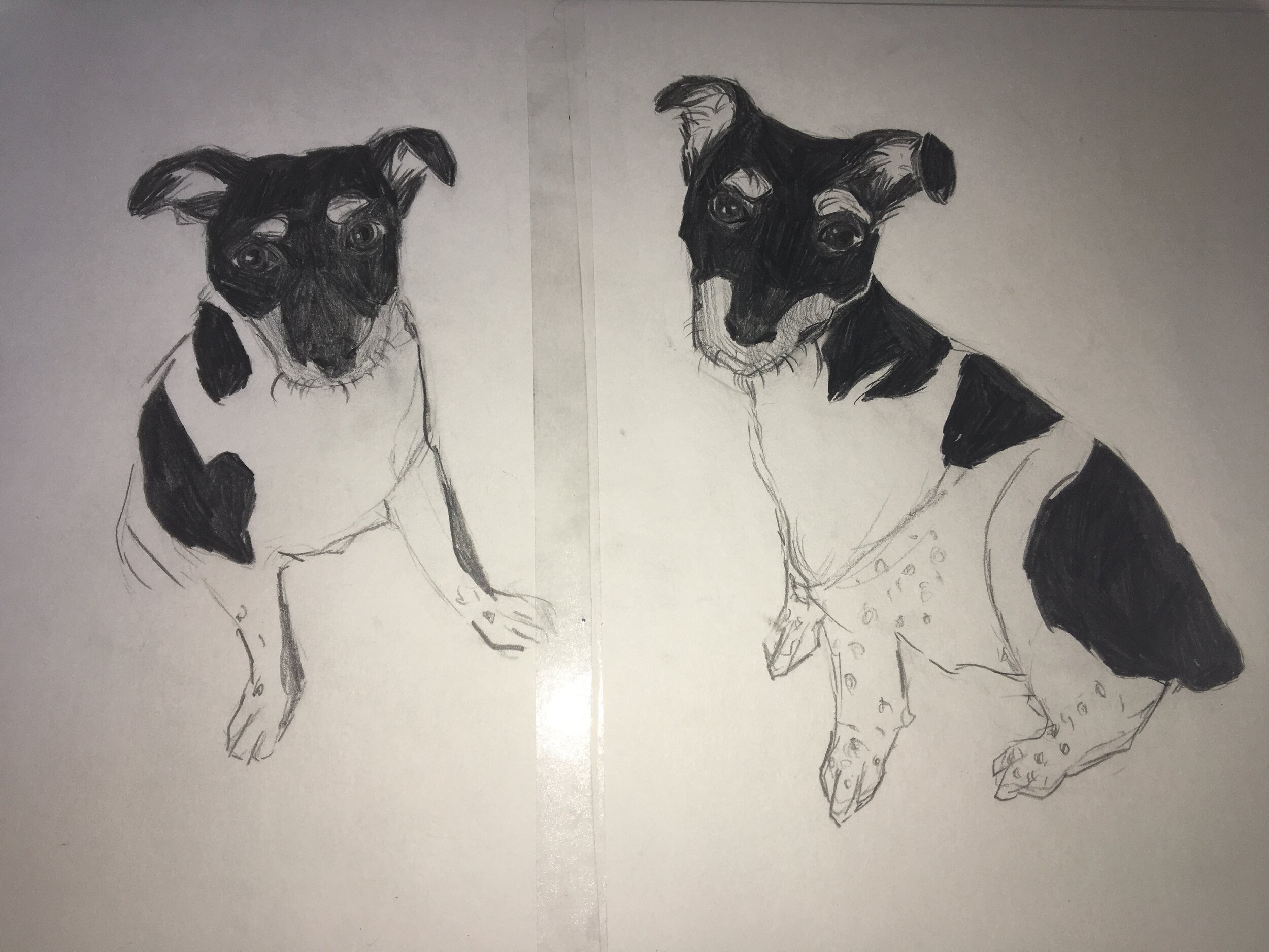 Naoise Morrssiey - Fianl print.jpeg