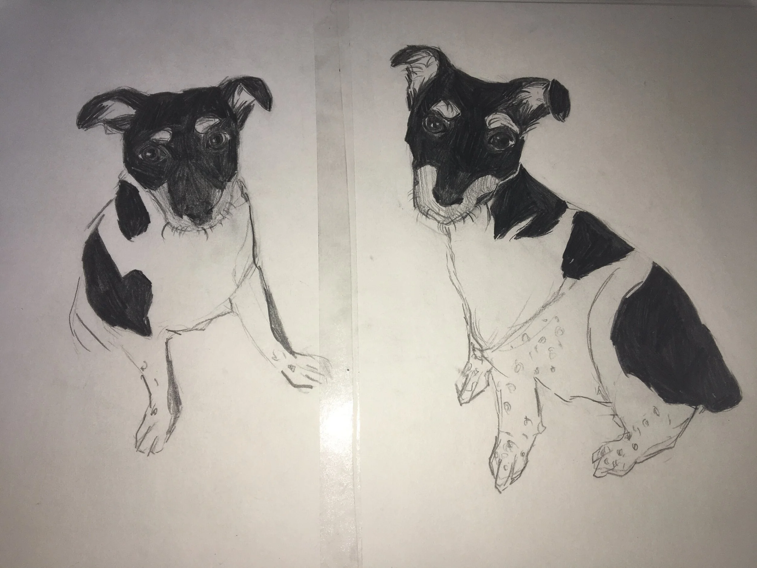 Naoise Morrssiey - Fianl print.jpeg