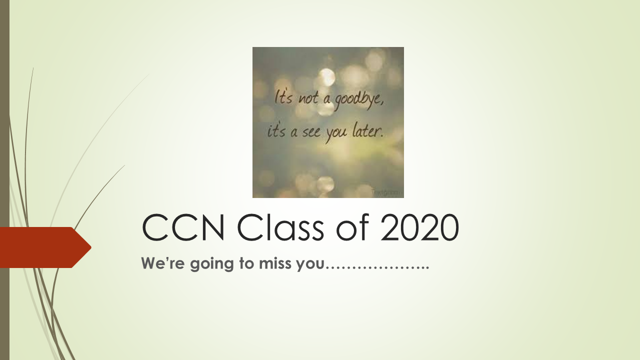 Leaving Cert Yearbook Class of  2020