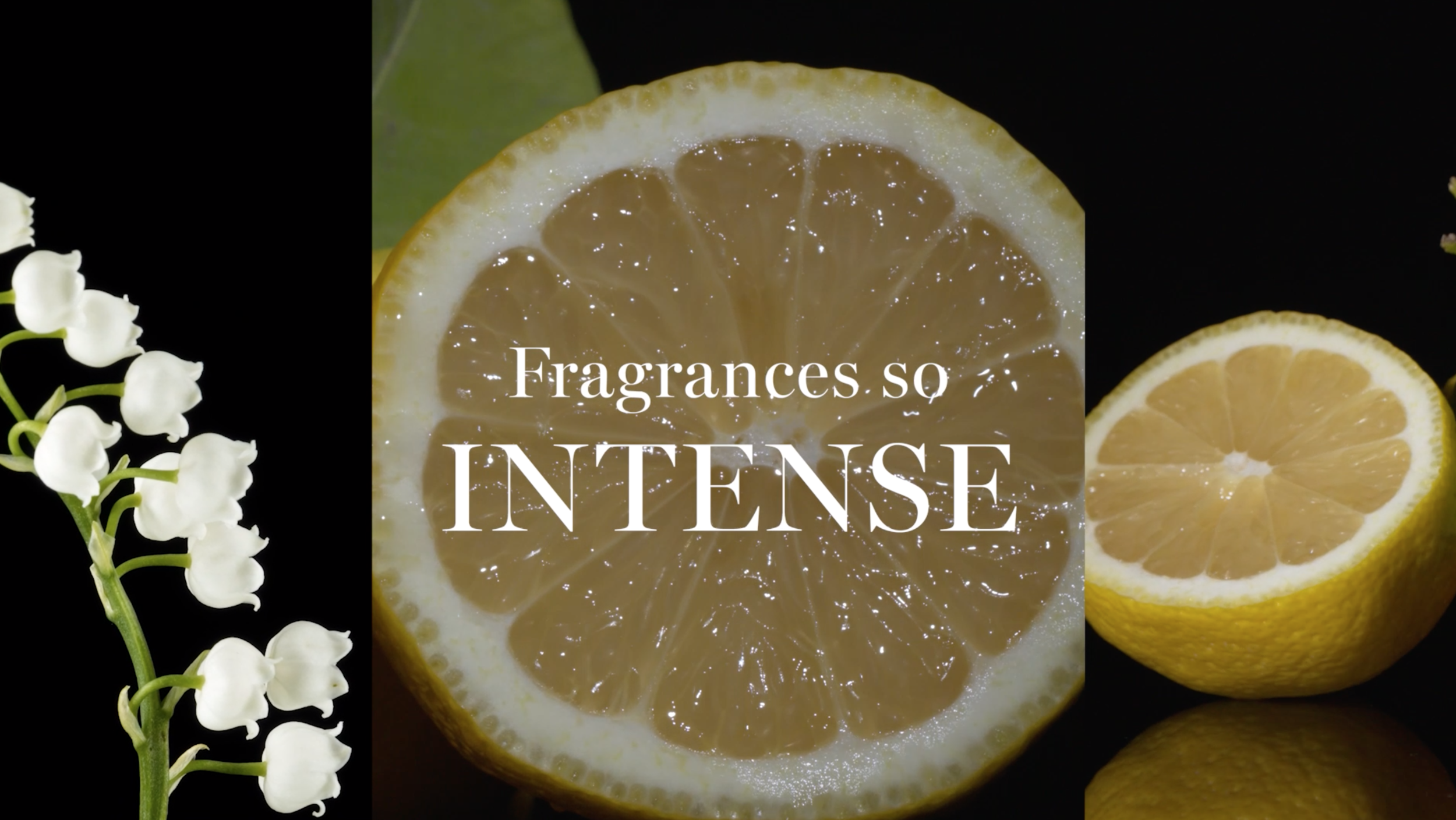 Screen Shot 2021-05-16 at 8.36.52 PM.png