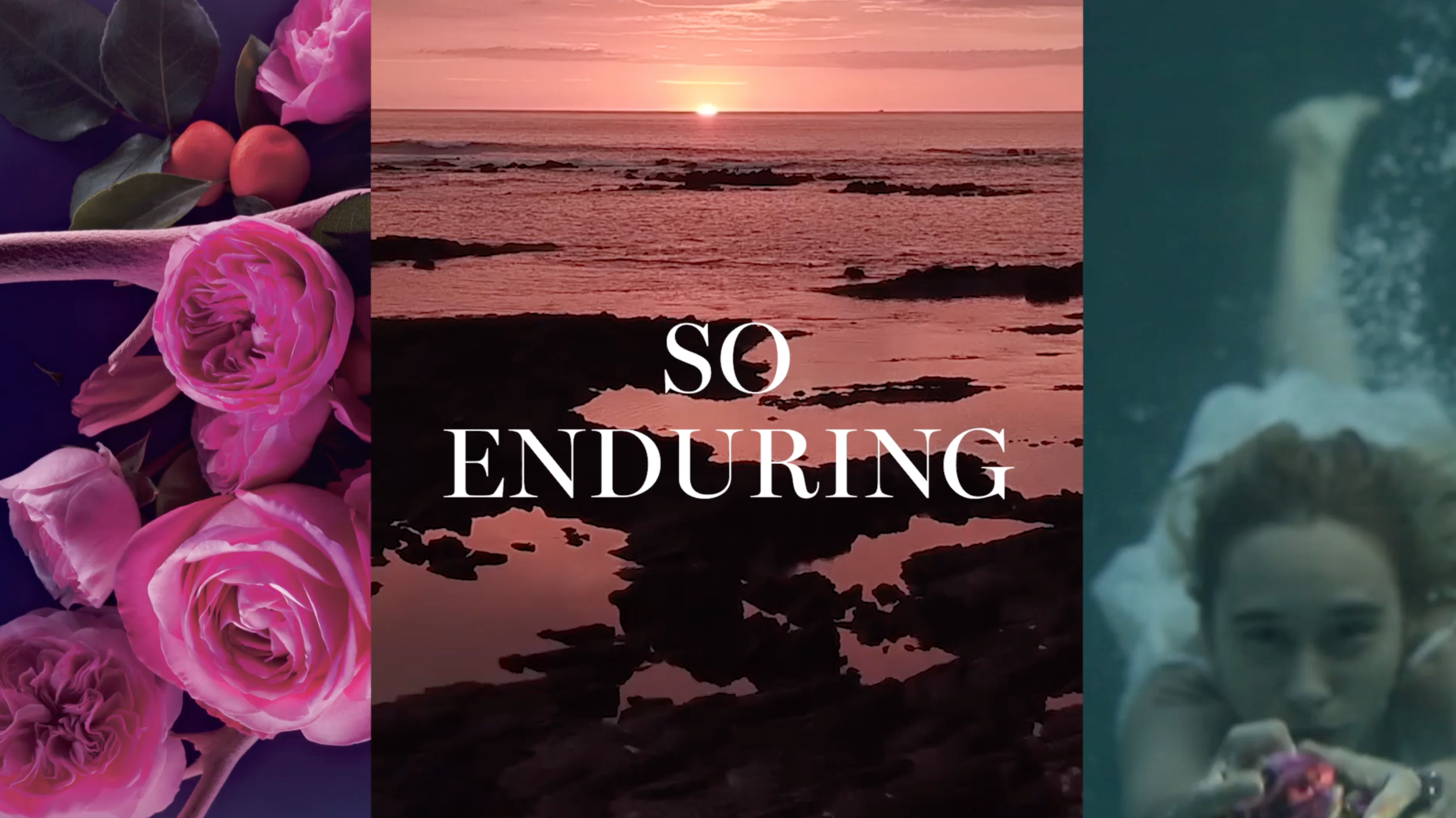 Screen Shot 2021-05-16 at 8.38.41 PM.png