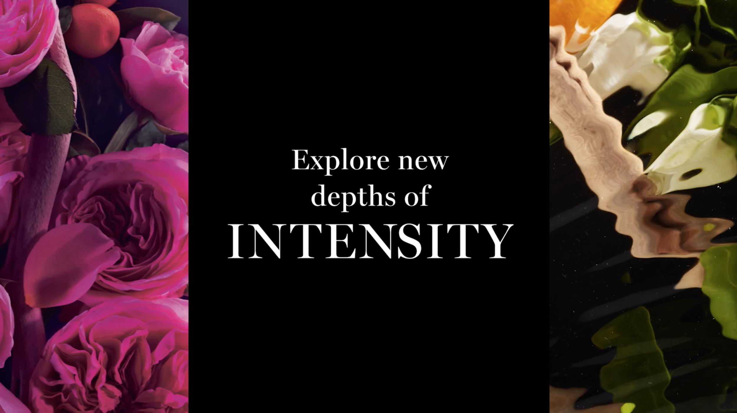 Screen Shot 2021-05-16 at 8.39.07 PM.png