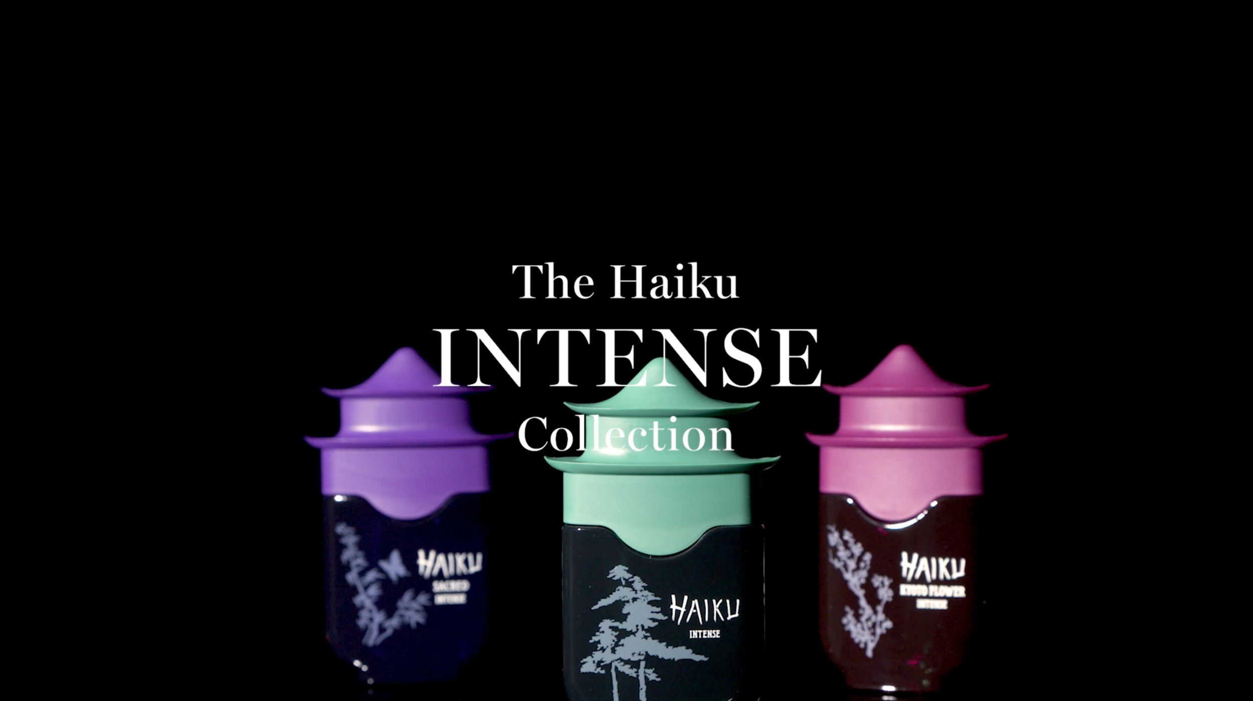 Screen Shot 2021-05-16 at 8.44.04 PM.png