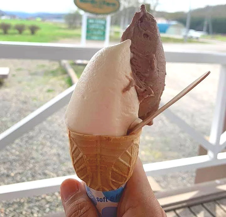 Hokkaido milk ice cream Nordic Farm — My Eastern Hokkaido