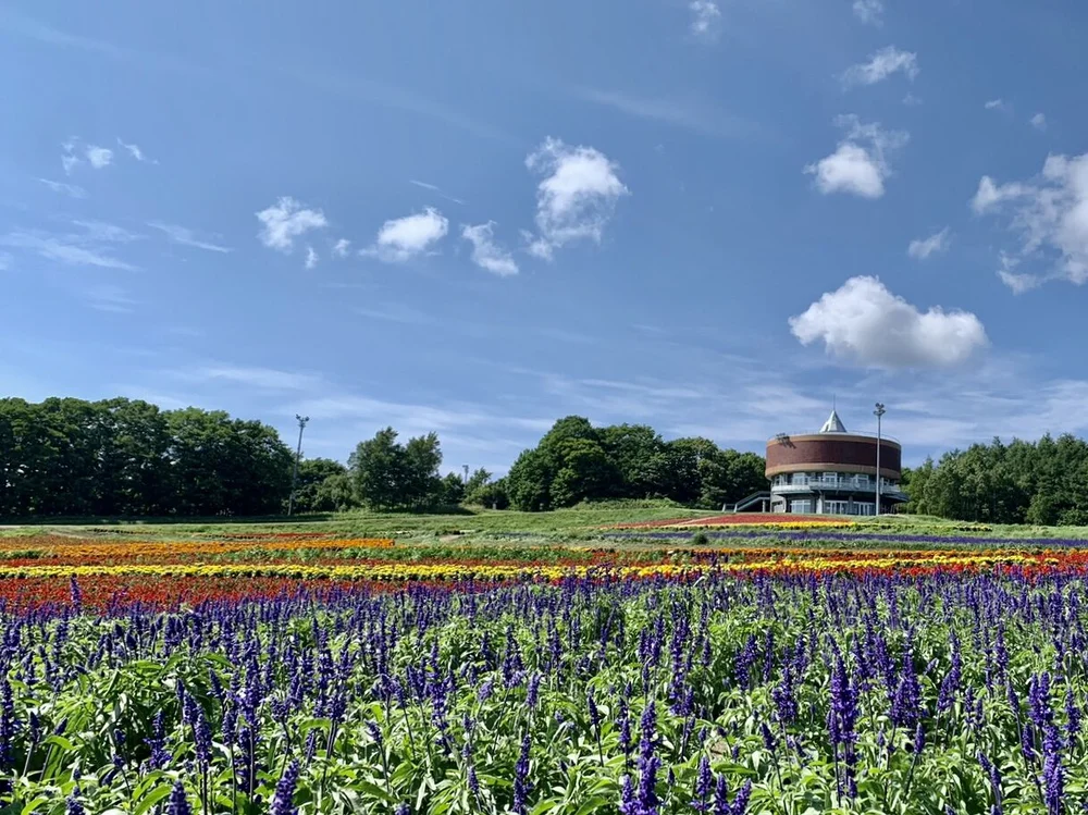 Abashiri Travel Guide Things to Do, How to Get There, Best Time to Visit