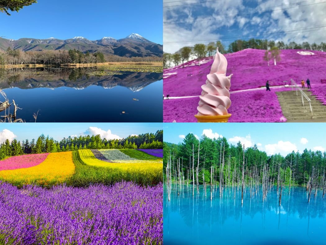 Hokkaido Summer Road Trip: A 7-Day Itinerary for Nature Lovers