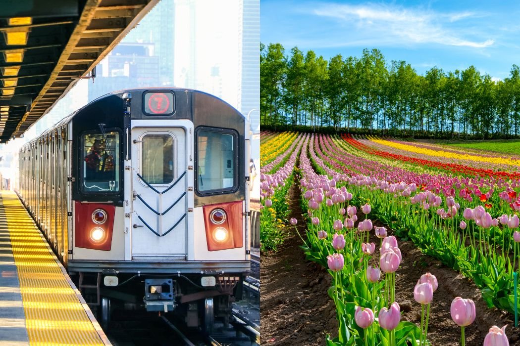 How to Travel Hokkaido by trains: JR Rail Pass itineraries