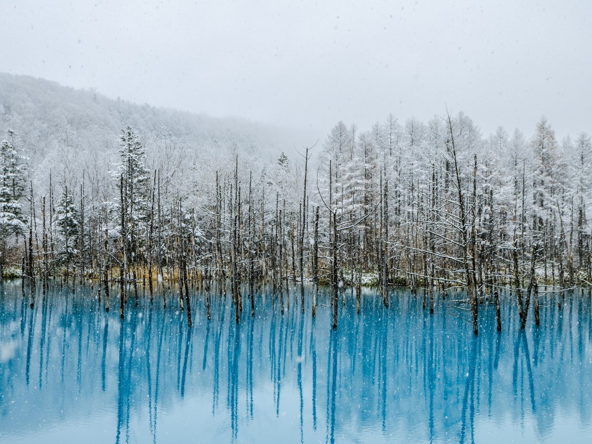 hokkaido trip in winter