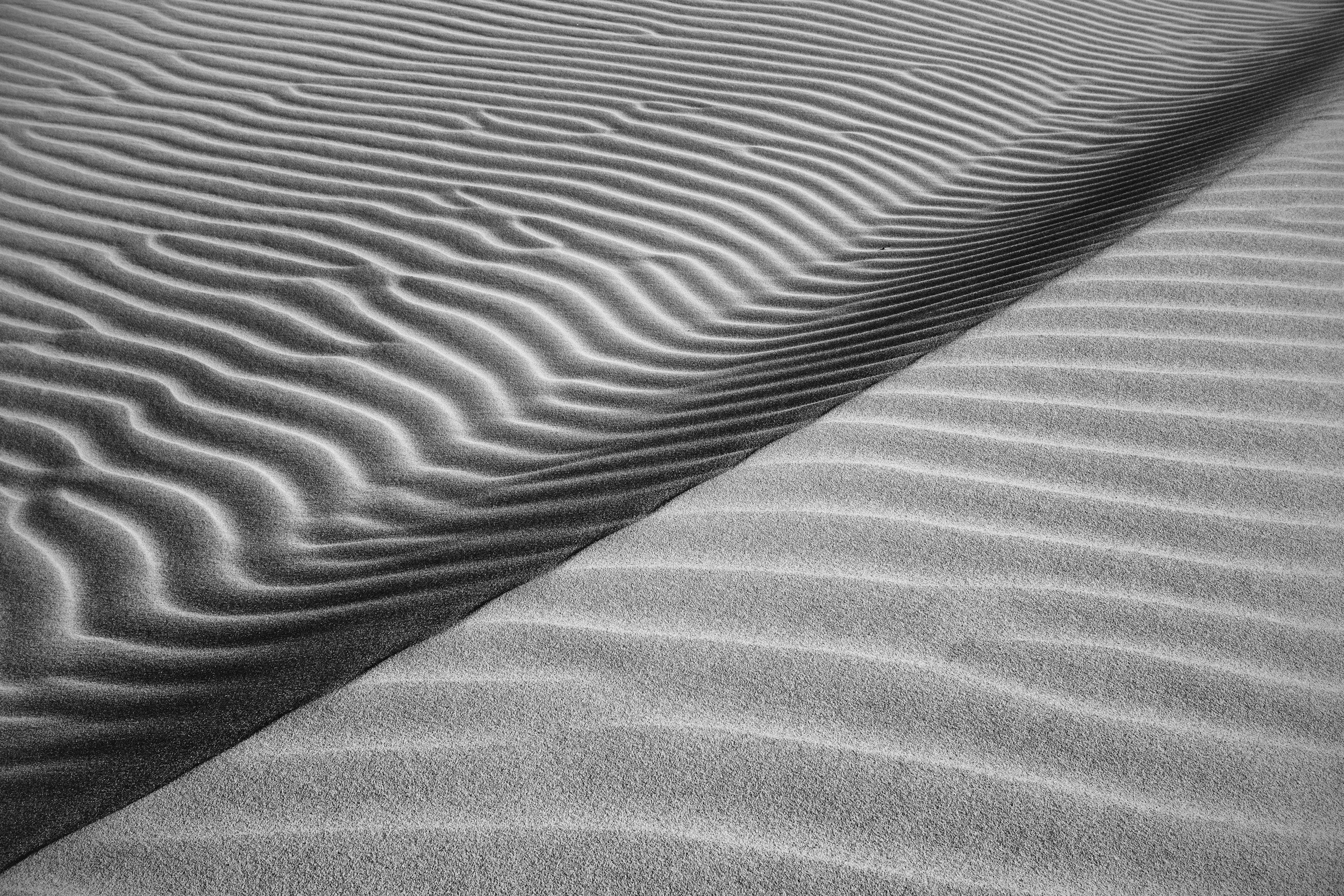 Abstract black and white sand texture