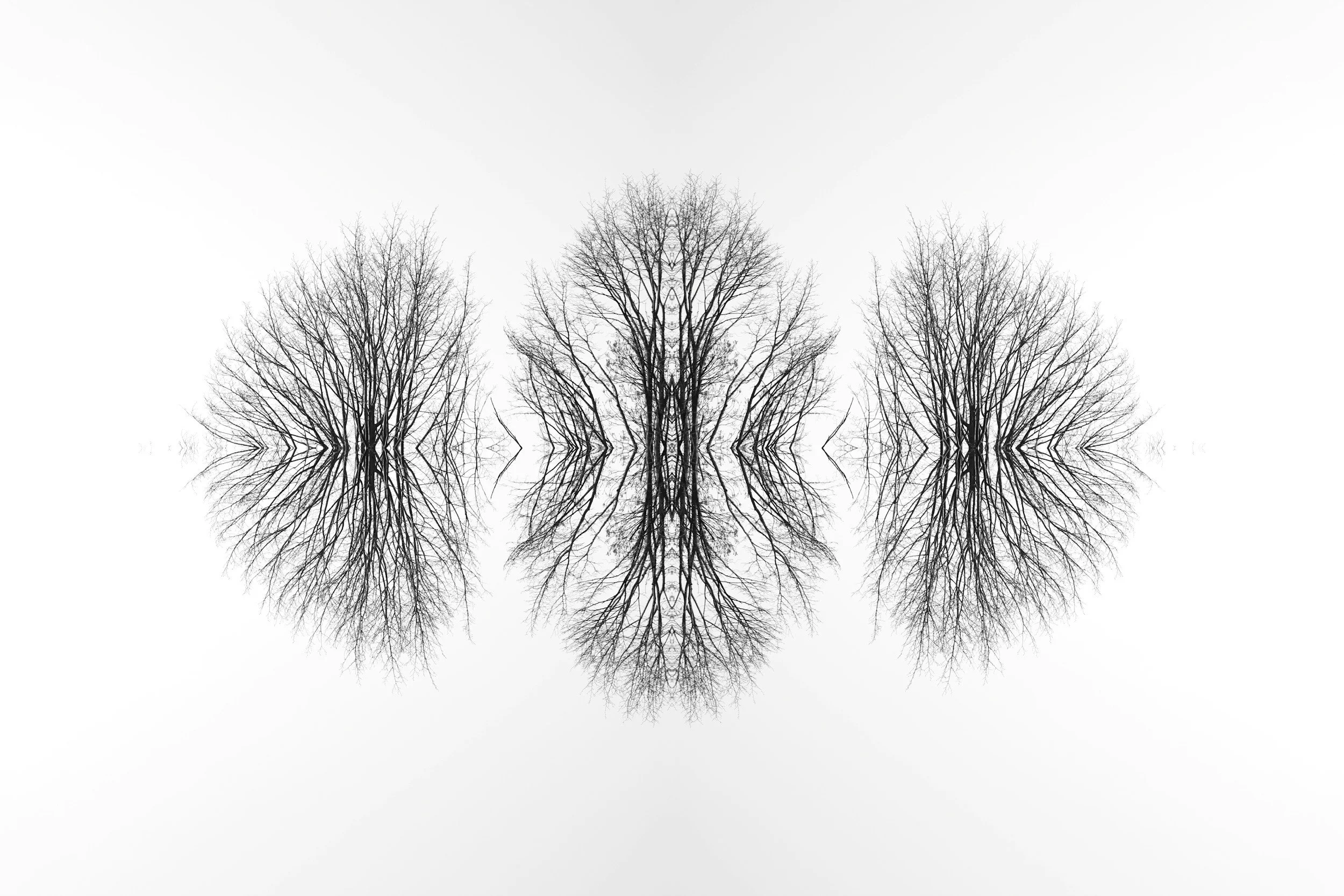 Bilateral processing in EMDR therapy helps the nervous system integrate unprocessed traumatic memories