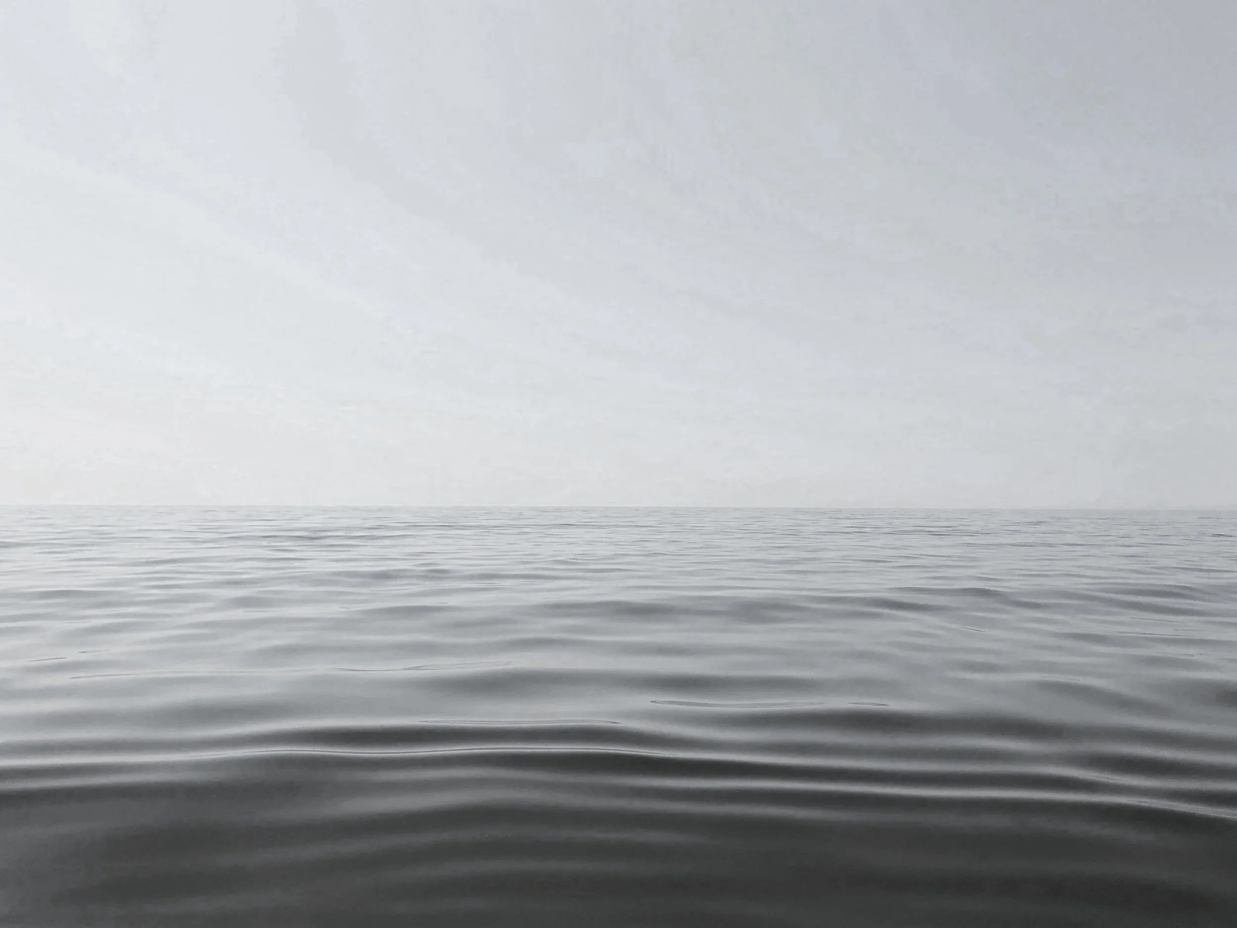 Psychedelic integration therapy — navigating the experience with support