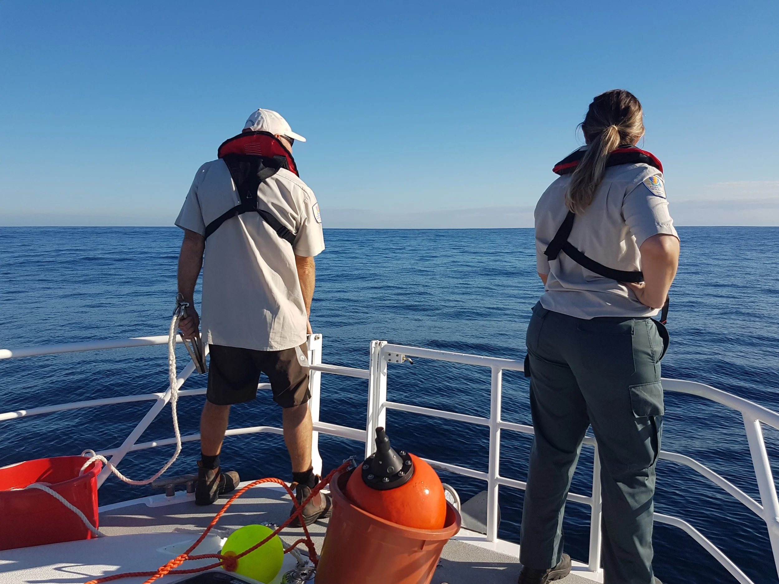 20180624_203327.jpg