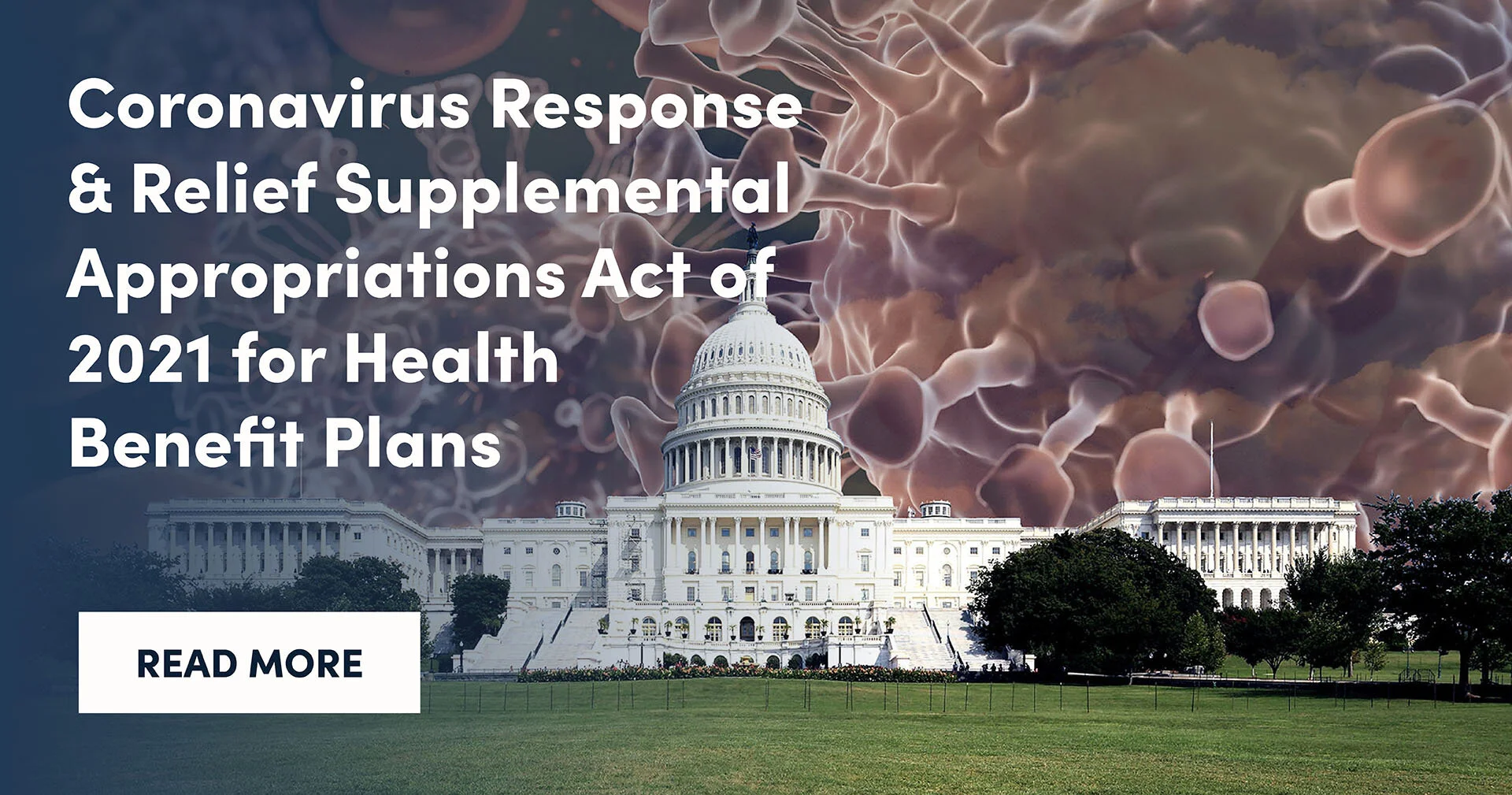 Coronavirus Response &amp; Relief Supplemental Appropriations Act of 2021 for Health Benefit Plans