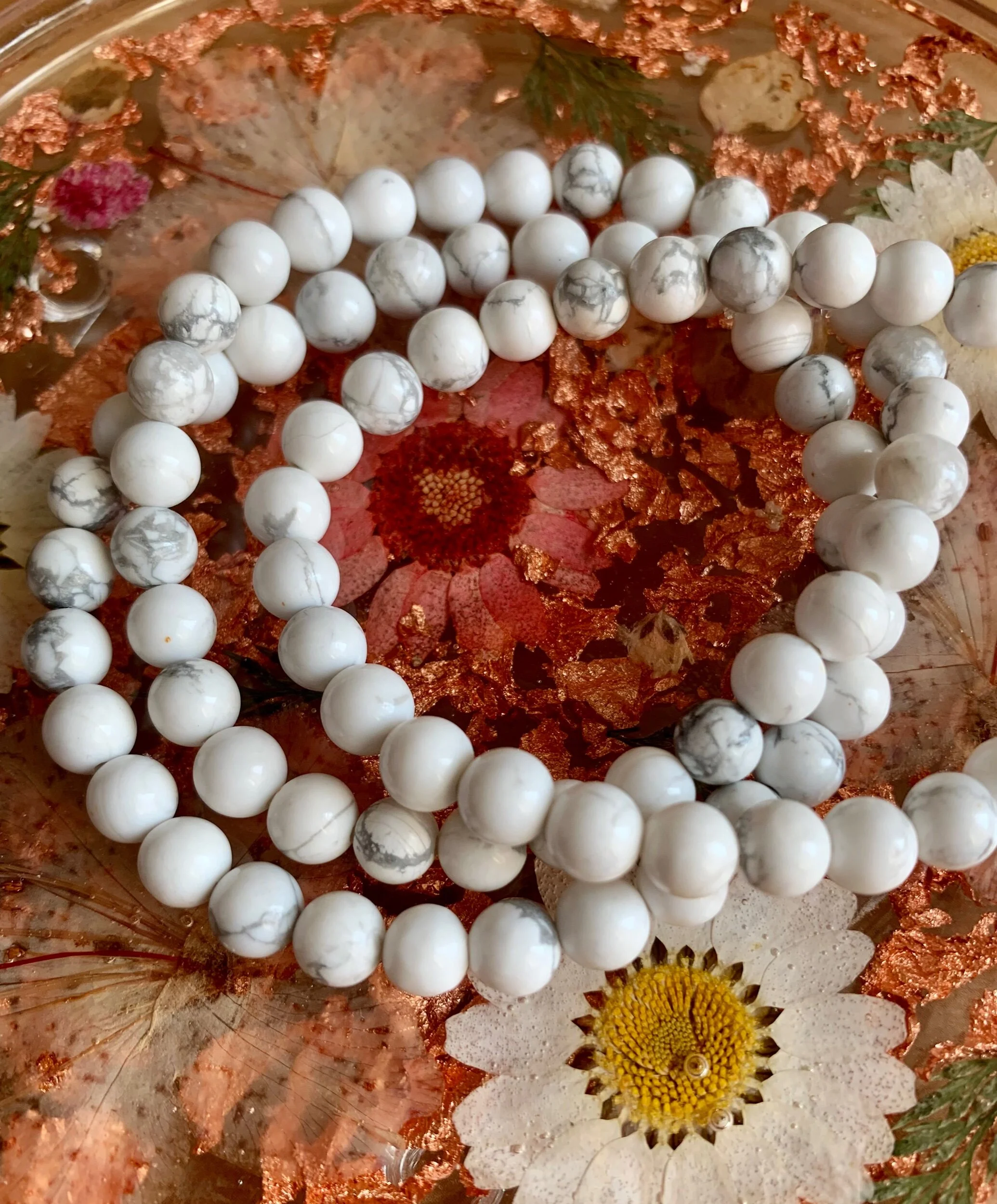 7E2672E3-C3DA-4CA6-9C2B-4FB8AC26604D