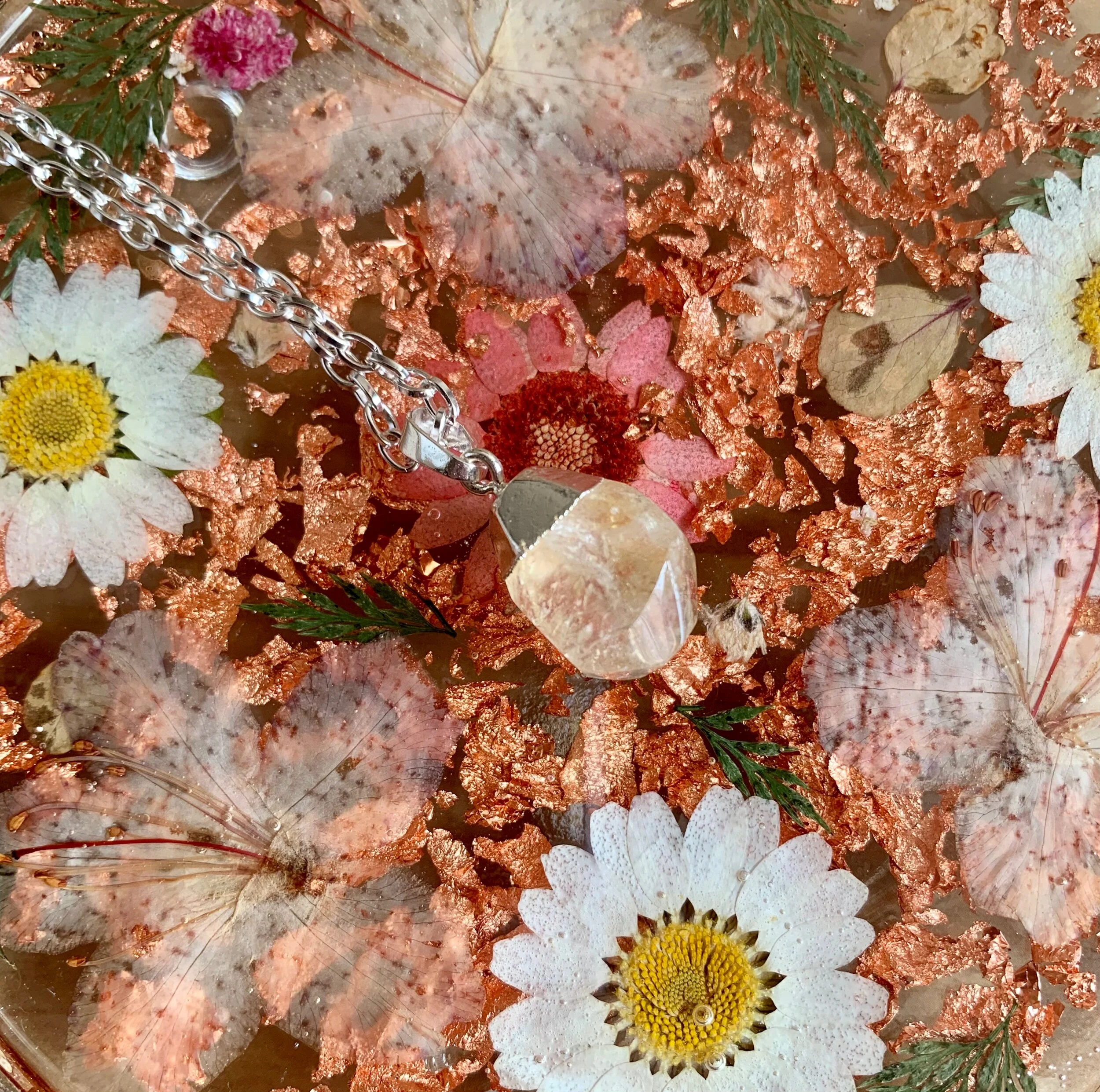 D254C881-B3AA-47C7-8BA3-757F07E48540