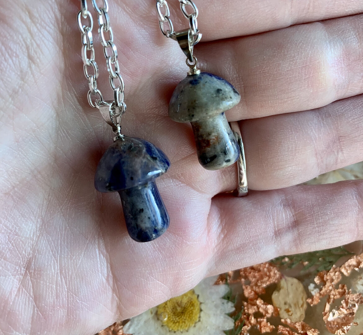 CC2803B9-4445-4377-824F-A1B575DAE88F