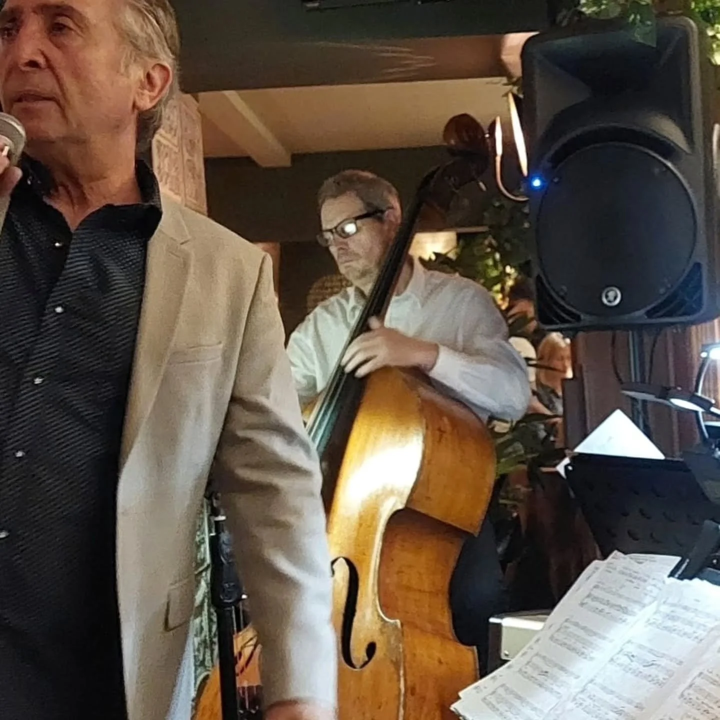 This Friday we play @hoveplace - 37 First Avenue,  BN3 2FH , 7 till 9pm,  for a summer garden party special performance.
Joining me will be the masterful Roy Hilton on piano and @davidbeeboss on double bass. 
Looking forward to seeing everyone once a