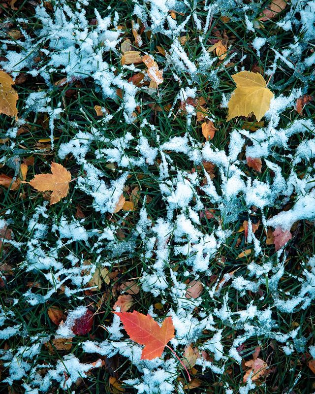#midwest #weather wrapped up in a photo. #autumn #winter #summer #seasons