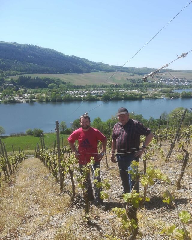 Wir sind bei feinstem Wetter ☀️im Weinberg, um die Austriebe am Rebenschenkel zu entfernen (wie in der Story zu sehen). Schlie&szlig;lich wollen wir alle Energie der Reben auf die oben wachsenden Austriebe richten, sodass daraus fruchtbare Rispen wac