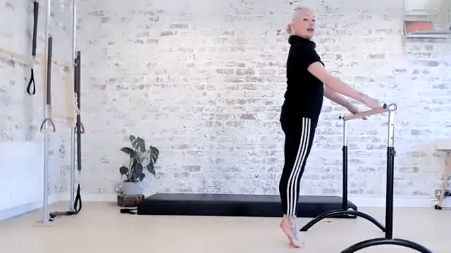 Beginner Barre Class