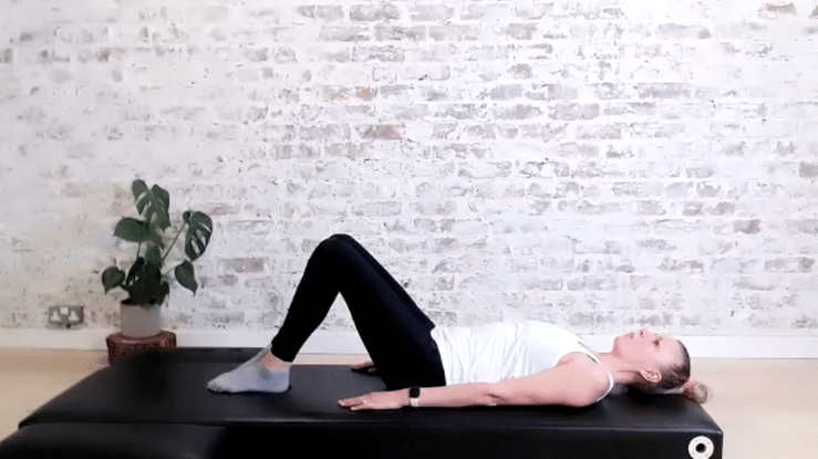 Torso Stability and Spine Twist 