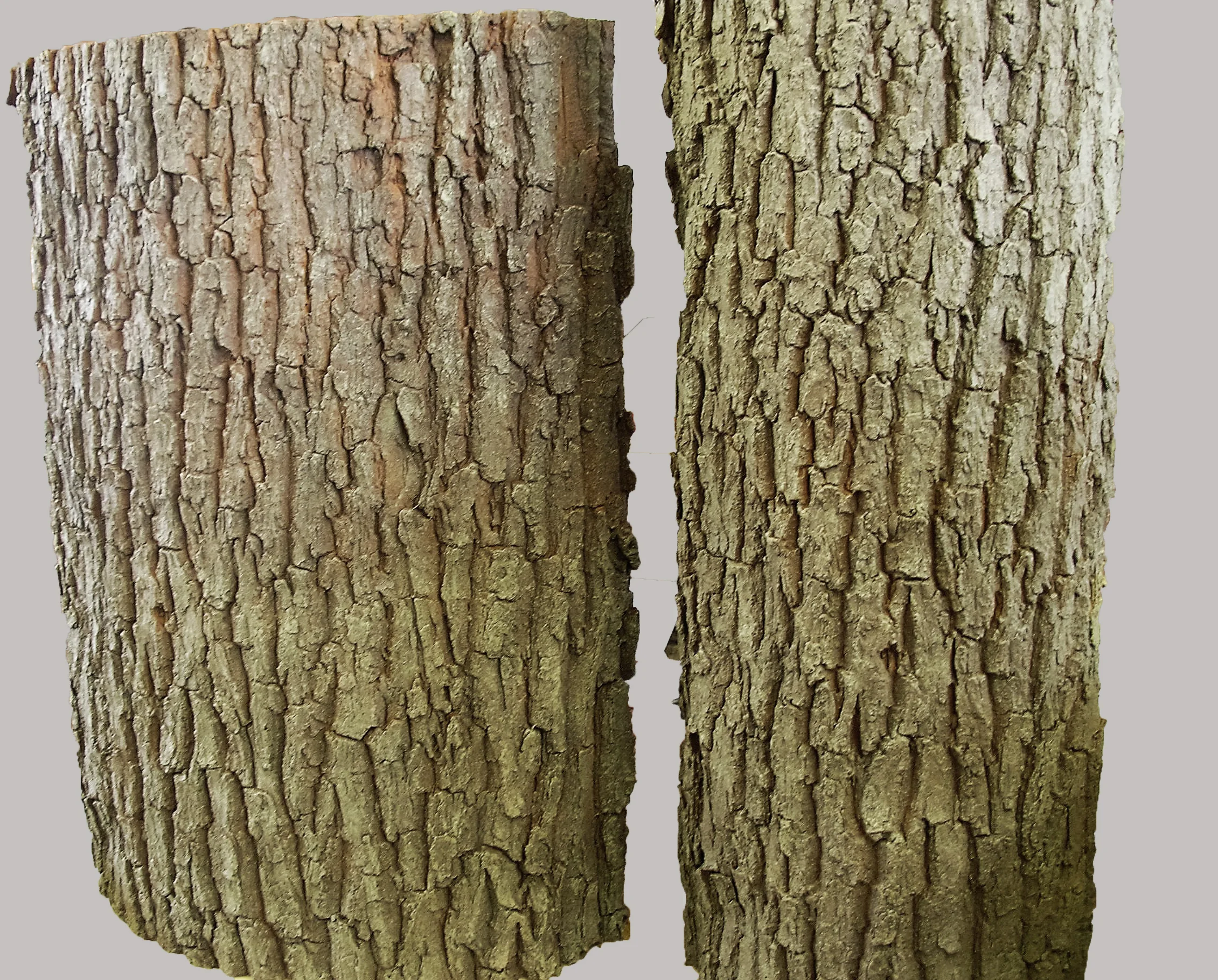 Cast Bark Texture